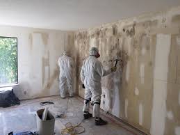 Mold Removal